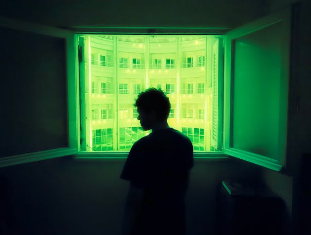 Glitch in the Matrix: Watching the Digital World Go By